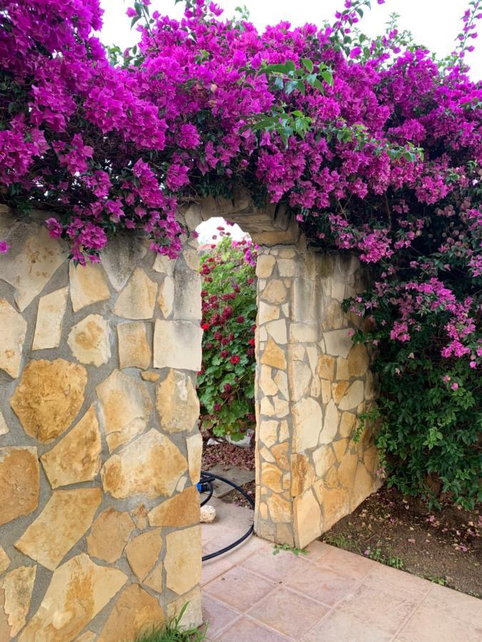 Villa Sunlight Sardegna Capitana Exterior photo